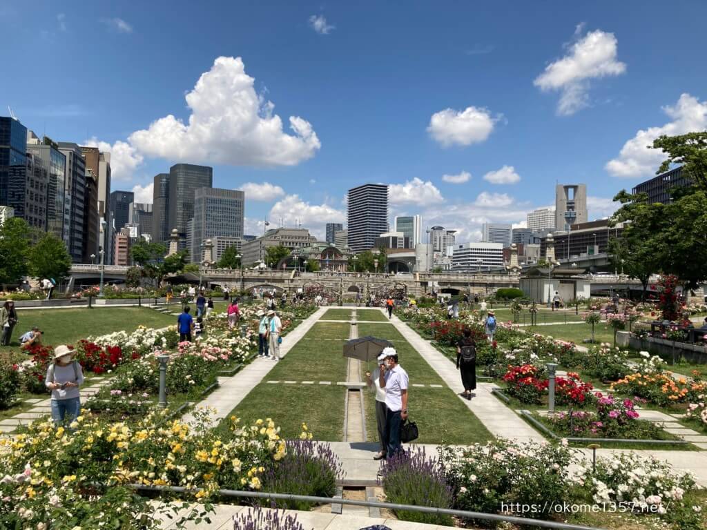 写真あり 中之島バラ園の見頃時期と開花状況 約90種類のバラが楽しめる あそびめも